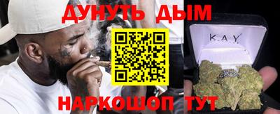 мдпв Гусев
